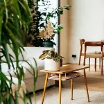 D'amis By Alix