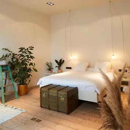 Hotell D'amis By Alix