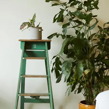 D'amis By Alix Hotell Gent