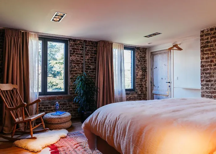 D'amis By Alix Hotel Gand