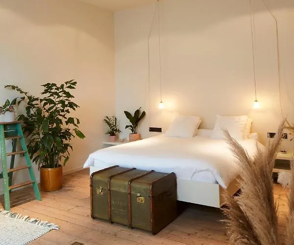 Hotel D'amis By Alix