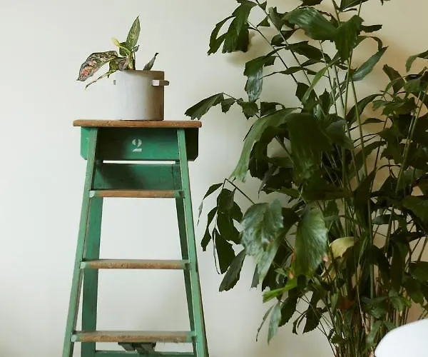 D'amis By Alix Hotel Gand