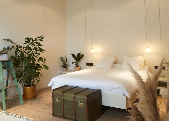 D'amis By Alix Gante