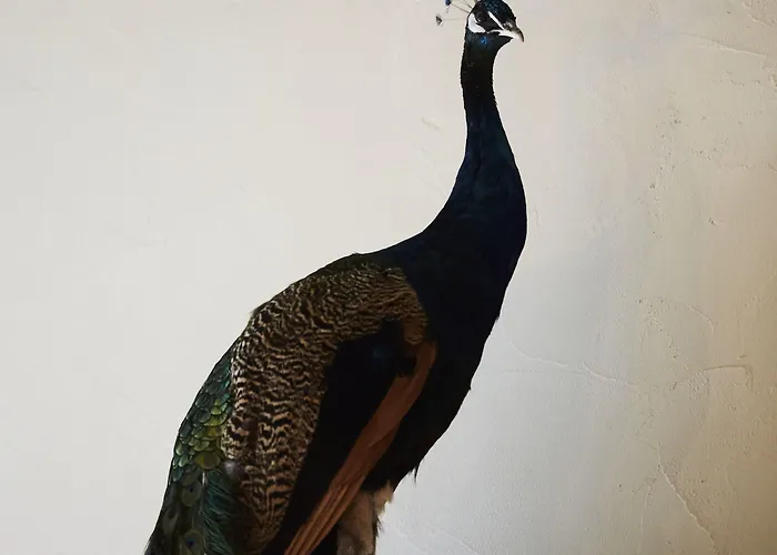 酒店 D'amis By Alix 根特